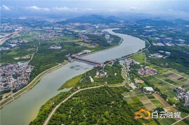 白云区|蓝瑞娥|朱剑峰|石门街|河涌