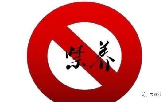 养殖户|到底哪些地方不能搞养殖，这回说的清清楚楚！