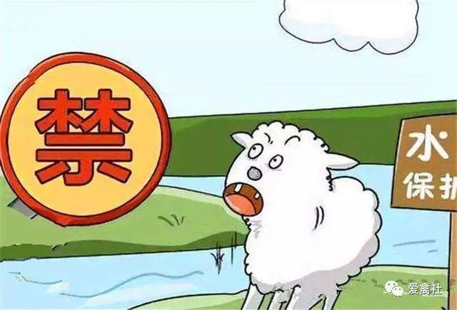 养殖户|到底哪些地方不能搞养殖，这回说的清清楚楚！