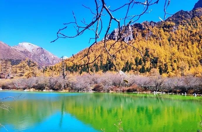 龙脊梯田|9、10月最适合去哪儿旅游？最佳旅游地都给你找来了！