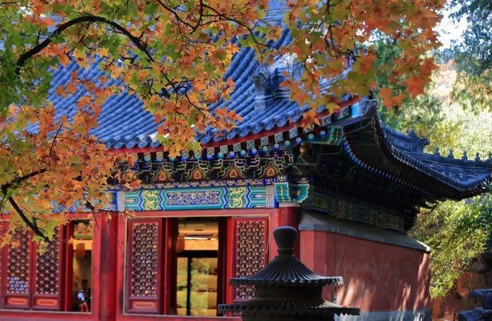 龙脊梯田|9、10月最适合去哪儿旅游？最佳旅游地都给你找来了！
