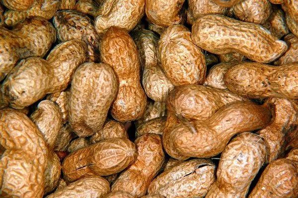 零食|全澳紧急召回！这款热卖零食，看到千万注意！有过敏风险！购入可全额退款！