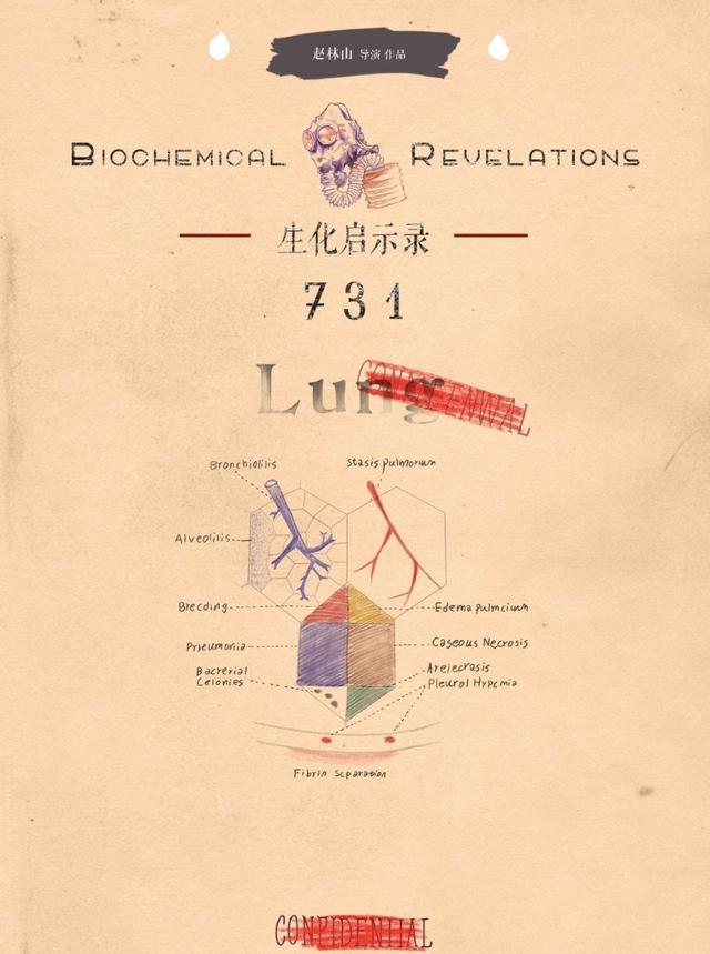 王俊凯|王俊凯加盟反战片《731》，闭关9月再战银幕，与影帝张家辉合作
