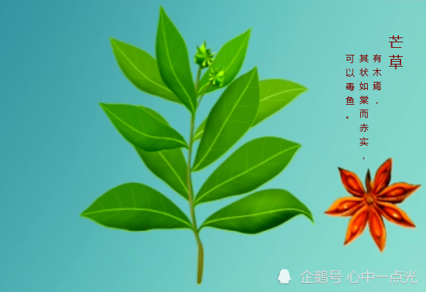 看山海经,一天熟悉一种志怪,壹佰捌拾贰