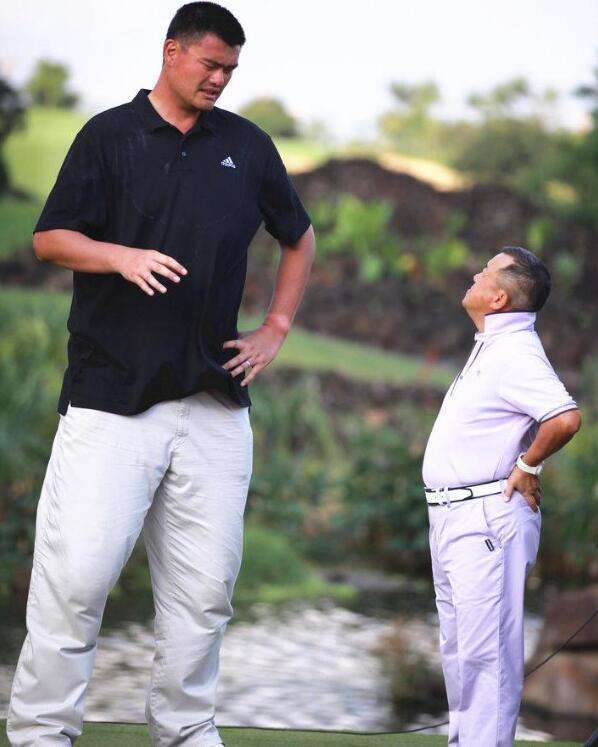 与姚明合照是什么感觉?1米98朱婷像小女人,看到曾志伟直接笑抽