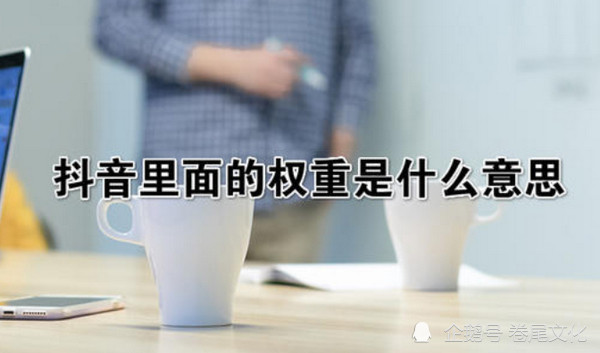 权重重要吗=权重大好还是权重小好