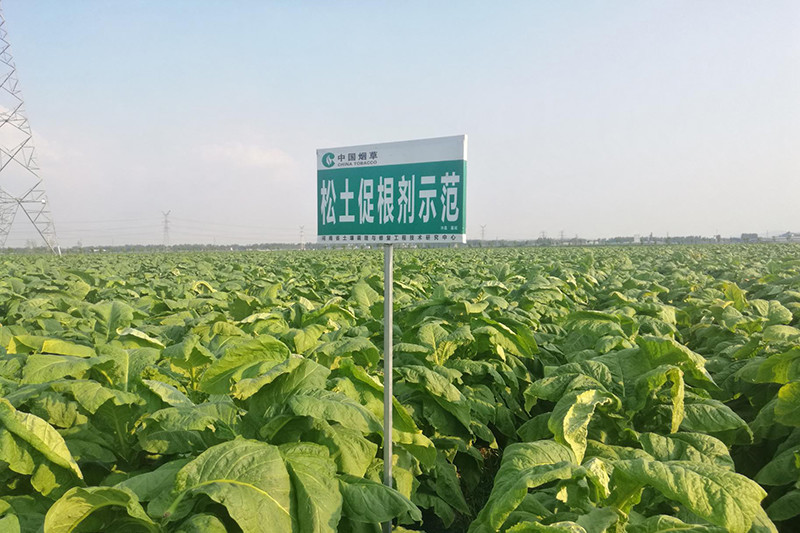 底肥|秋收将至，小麦底肥该怎么选？