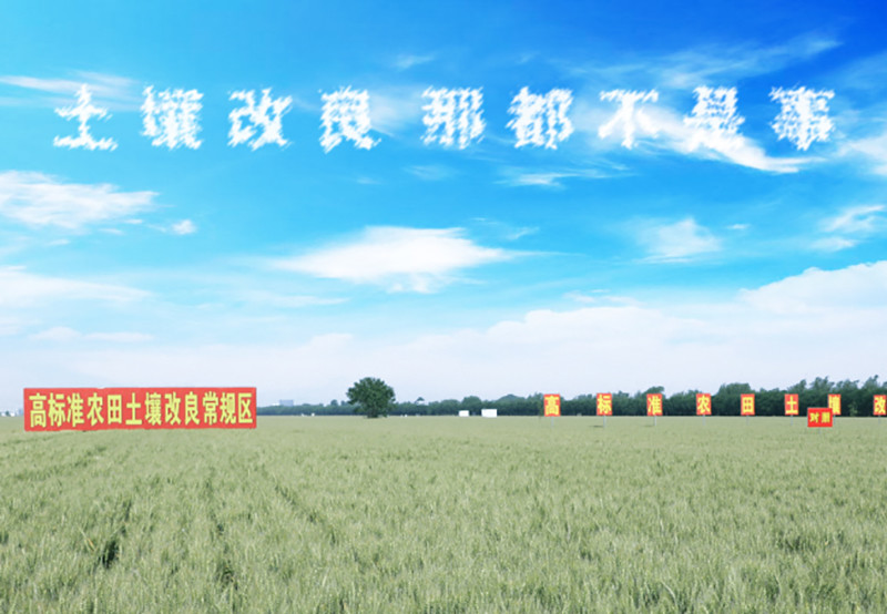 底肥|秋收将至，小麦底肥该怎么选？