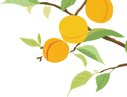 温榆河公园|同时体验“景”与“静”，这些地方别错过