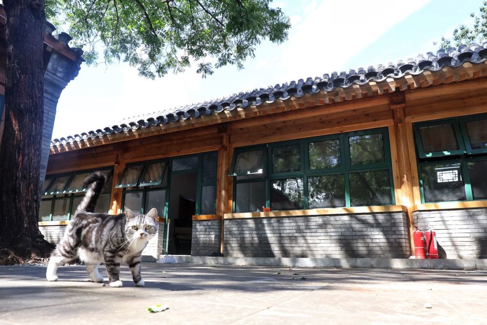 北京|北京首个申请式退租项目启动今年改善申请