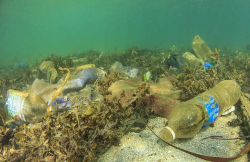 马里亚纳海沟|11034米“马里亚纳海沟”，科学家最不想看到的东西，终究逃不过！