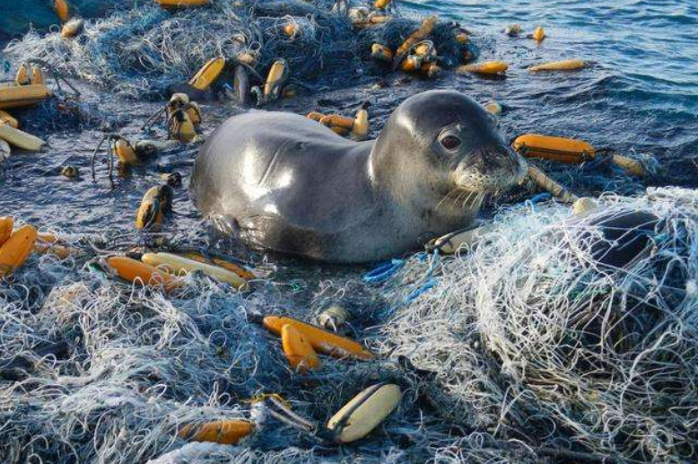 马里亚纳海沟|11034米“马里亚纳海沟”，科学家最不想看到的东西，终究逃不过！