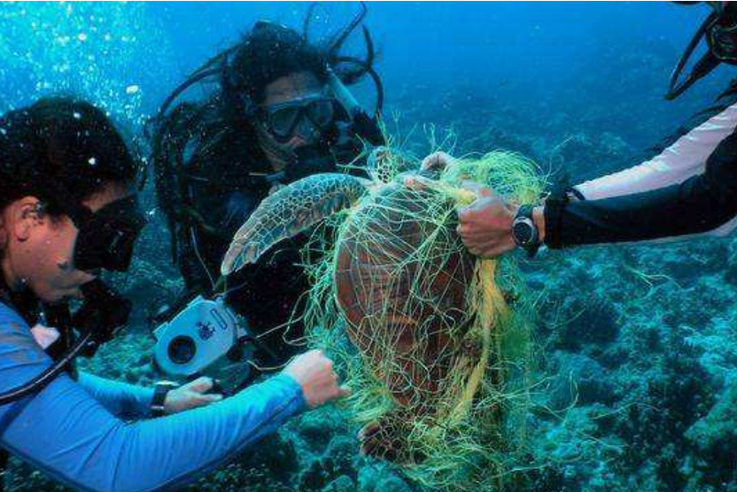 马里亚纳海沟|11034米“马里亚纳海沟”，科学家最不想看到的东西，终究逃不过！