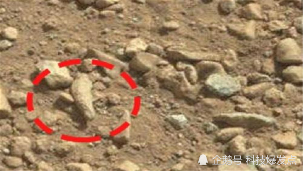 火星|火星漫游者拍摄的照片，其中发现的“啤酒瓶”，究竟是什么？