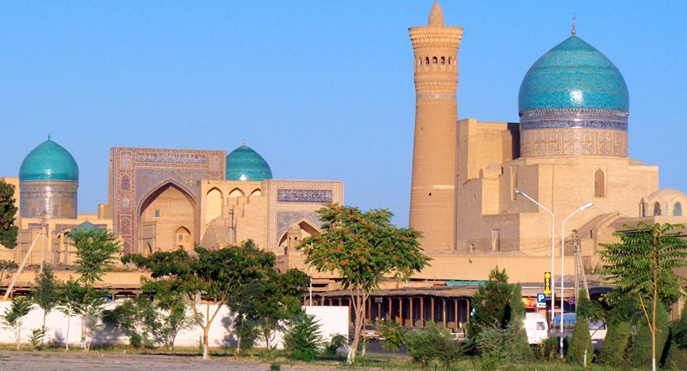 乌兹别克斯坦布哈拉州州长因新冠肺炎去世