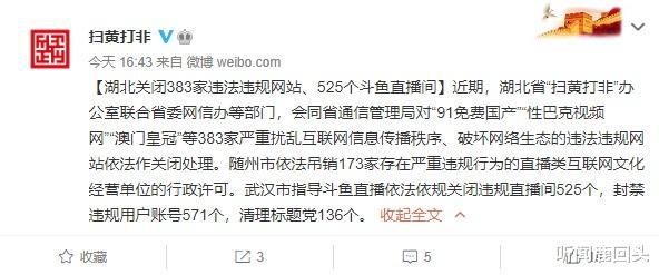 鬥魚直播間違規涉黃91免費國產等383家違法違規網站被關閉