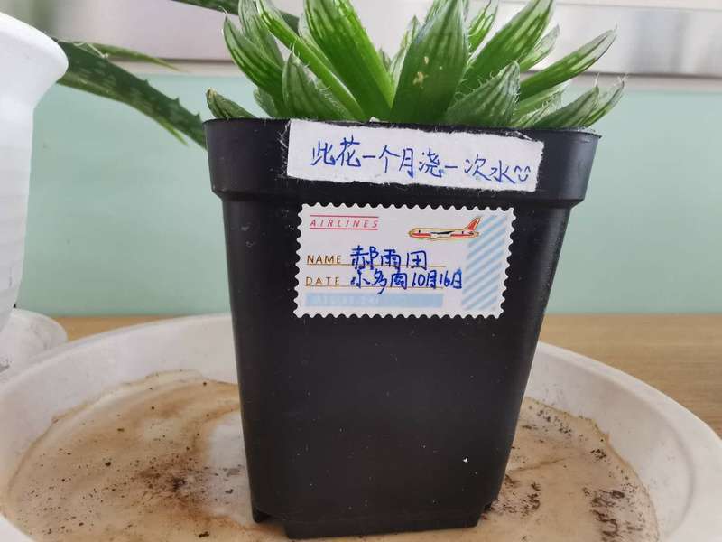 中青报·中青网|北京秋季开学将全面恢复教育教学秩序