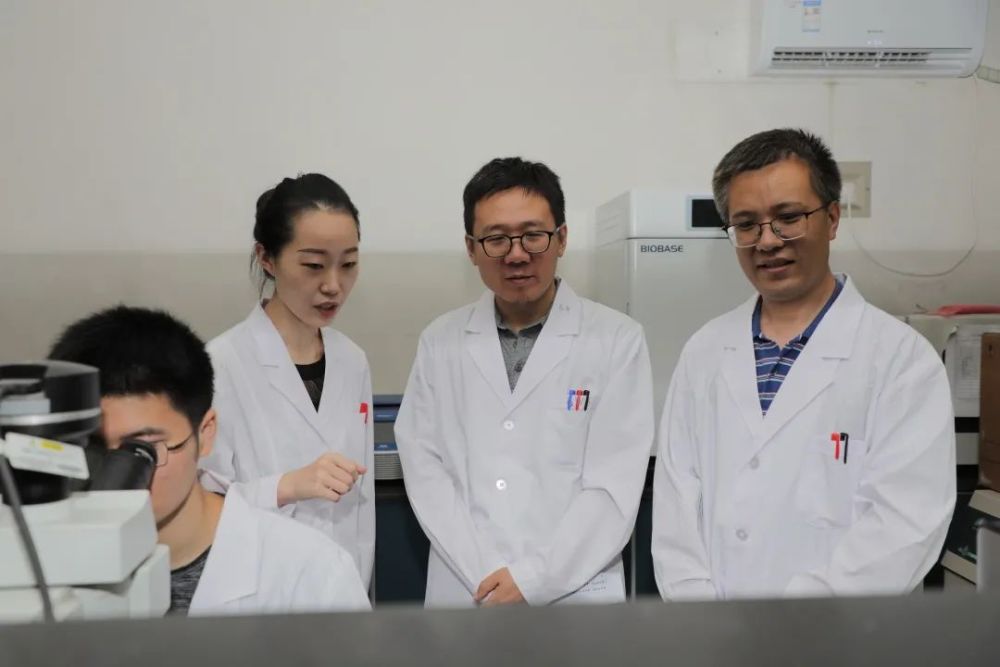 据曹务春研究员介绍,蜱是一种传播人兽共患病的重要媒介,可携带病毒