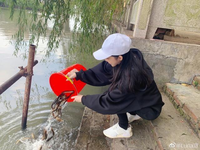 网红|嫁豪门培训班被曝光，网红成功后机构抽钱，还有明星主动求介绍