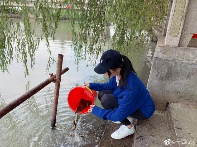 网红|嫁豪门培训班被曝光，网红成功后机构抽钱，还有明星主动求介绍