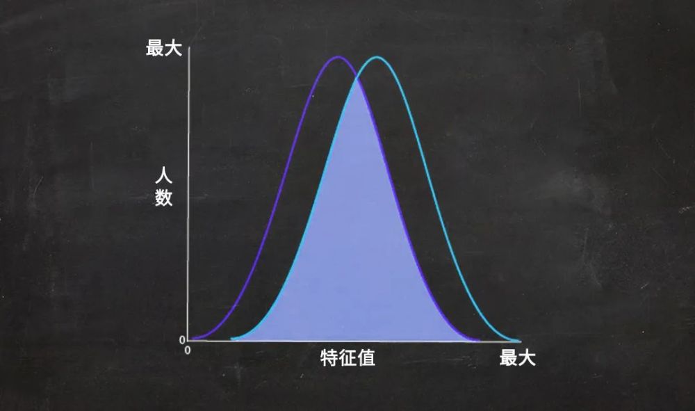 大脑|女性和男性的大脑，有差异吗？