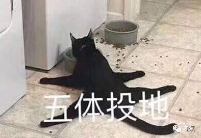 杨超越|杨超越5年前生图爆出，腋下这是怎么了…