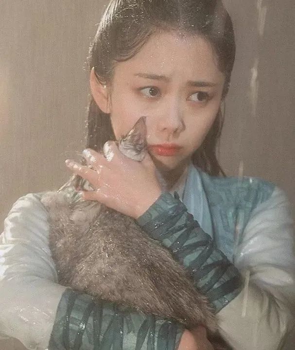 谭松韵|贵圈30岁以上女星里，脸嫩到能演小学生的也就她一个了吧！