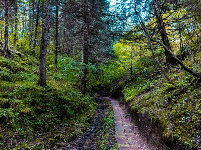 小森林|北京自驾过七夕，京北有个浪漫日系小森林