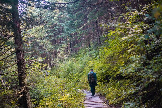 小森林|北京自驾过七夕，京北有个浪漫日系小森林