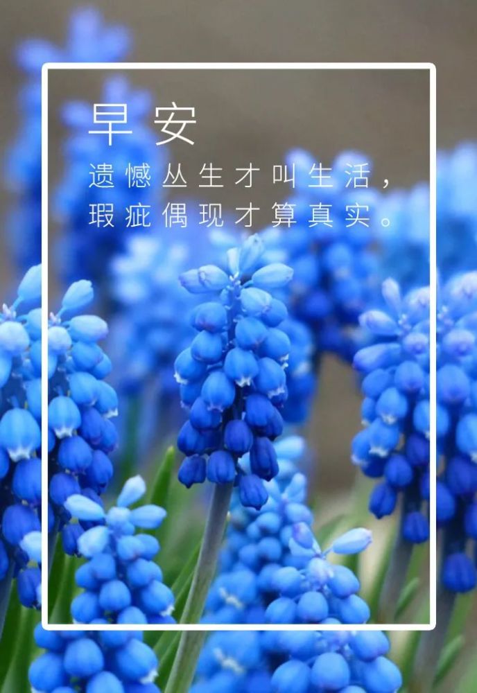 早安语录最新句子早安心语最新一句话