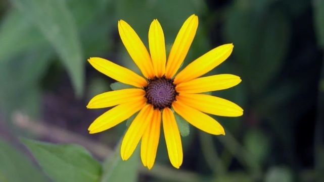 腾讯内容开放平台