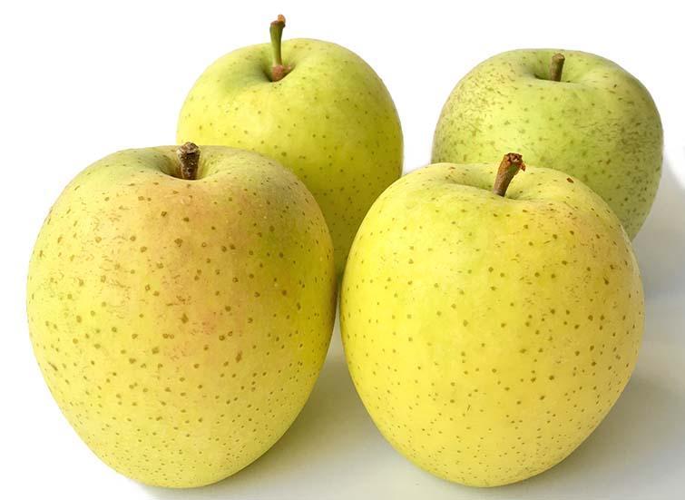 国光苹果|12个“退出江湖”的冷门苹果品种，你希望哪一个能重出江湖？
