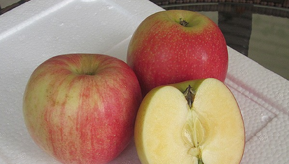 国光苹果|12个“退出江湖”的冷门苹果品种，你希望哪一个能重出江湖？