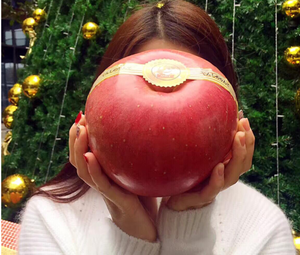 国光苹果|12个“退出江湖”的冷门苹果品种，你希望哪一个能重出江湖？