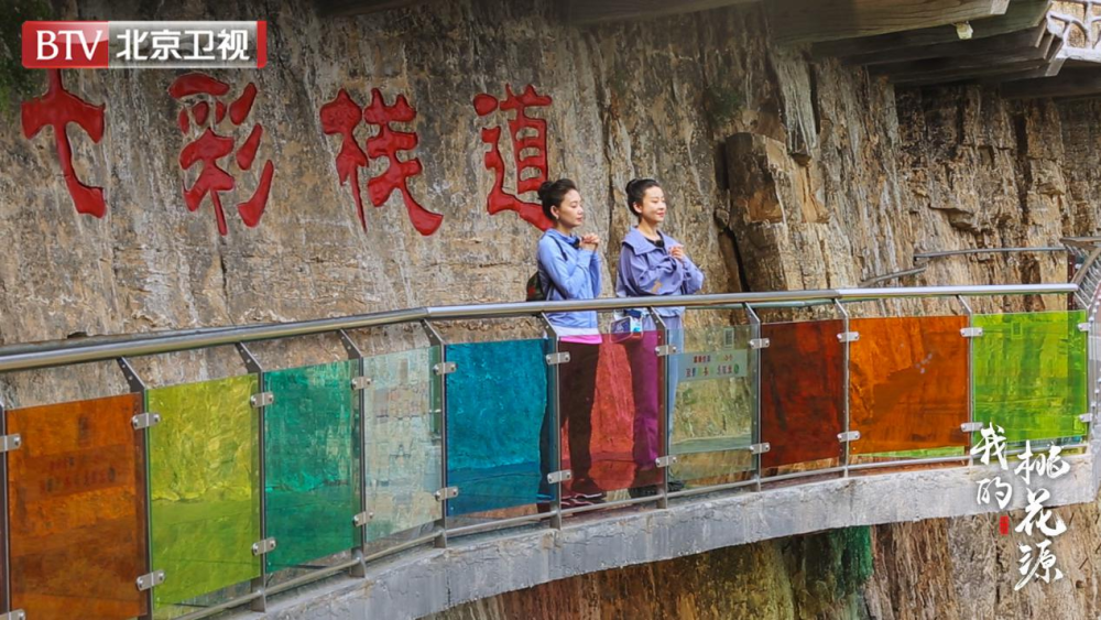 我的桃花源|提升后疫情旅游发展，《我的桃花源》打开“种草”新方式