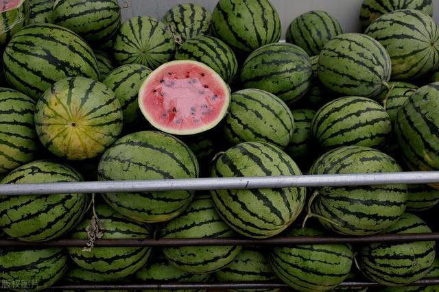 西瓜|又一农产品滞销，一毛一斤卖不出去，原因到底出在哪？