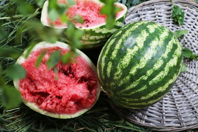 西瓜|又一农产品滞销，一毛一斤卖不出去，原因到底出在哪？