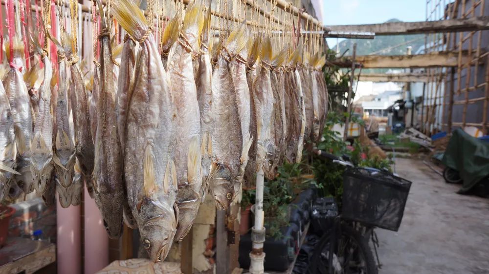 鼻咽癌|鼻咽癌，为什么中国的患病人数全球第一？