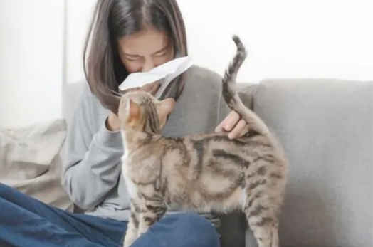 清鼻堂科普 天凉好个秋 当心过敏性鼻炎找上门 腾讯新闻