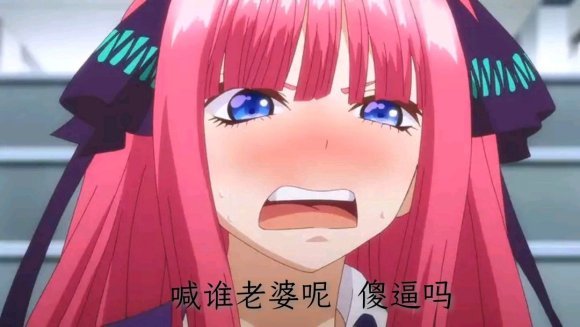 五等分的花嫁系列表情包