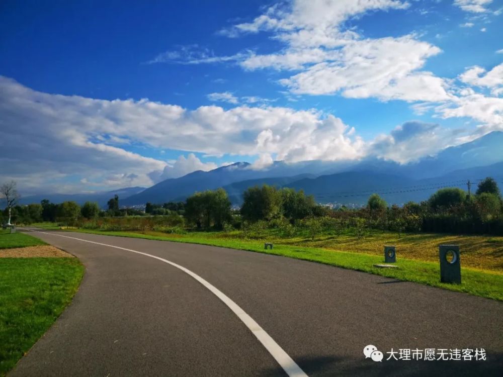 去大理洱海生態廊道遊玩了嗎可遠眺蒼山玉帶雲飄近覽蒼海春暖花開這裡