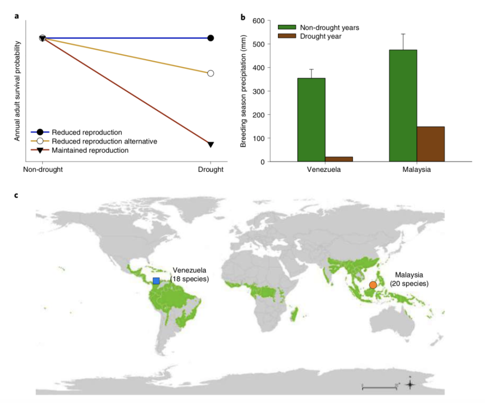 自然-气候变化|《自然-气候变化》论文