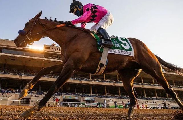 美国明星赛马"最高戒备"攻下太平洋经典赛斩获第四个一级赛冠军