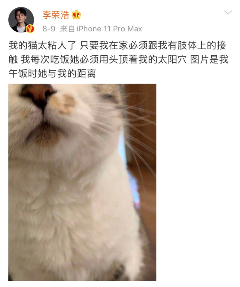 李荣浩 我的猫真的太太太太太粘人了 腾讯新闻