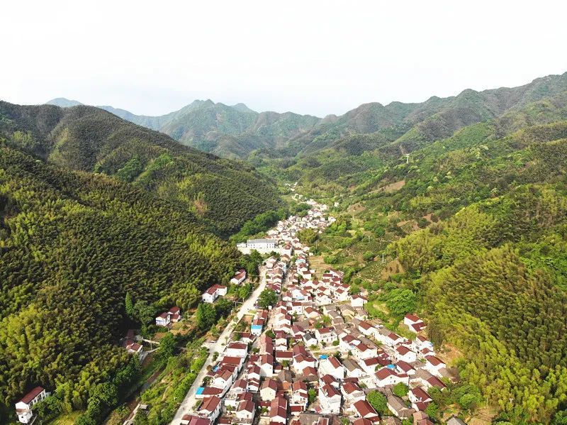 宣州区溪口镇金龙村谭村组推进"十星清洁户示范片"创建