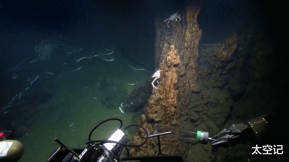 海底火山|人类发现一种“煮不熟”的虾，生活在海底火山口，水温超过450度！