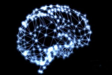 马斯克|神秘的脑机 马斯克将于本周展示最新成果