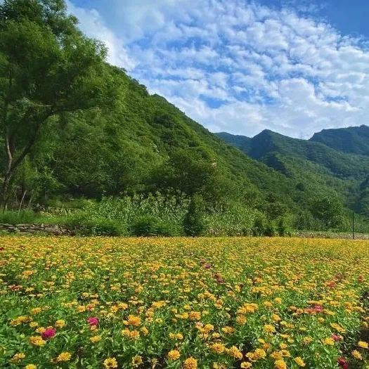 北京男篮|北京的初秋时节，来这些地方走走吧