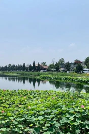 北京男篮|北京的初秋时节，来这些地方走走吧