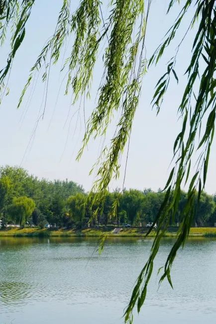 北京男篮|北京的初秋时节，来这些地方走走吧